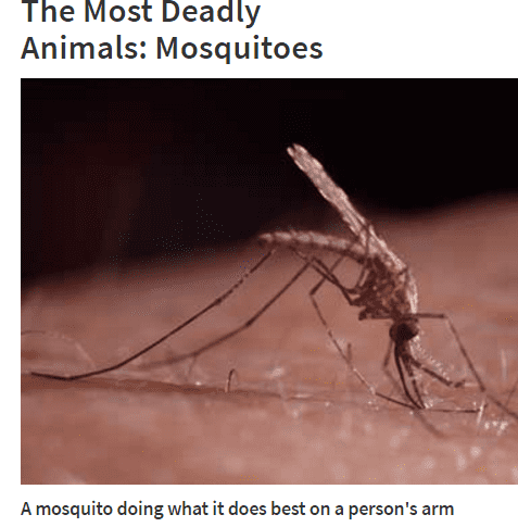 Mosquito bites result in the deaths of more than 1 million people every year. The majority of these deaths are due to malaria. The World Health Organization estimates that between 300 and 500 million cases of malaria occur each year.