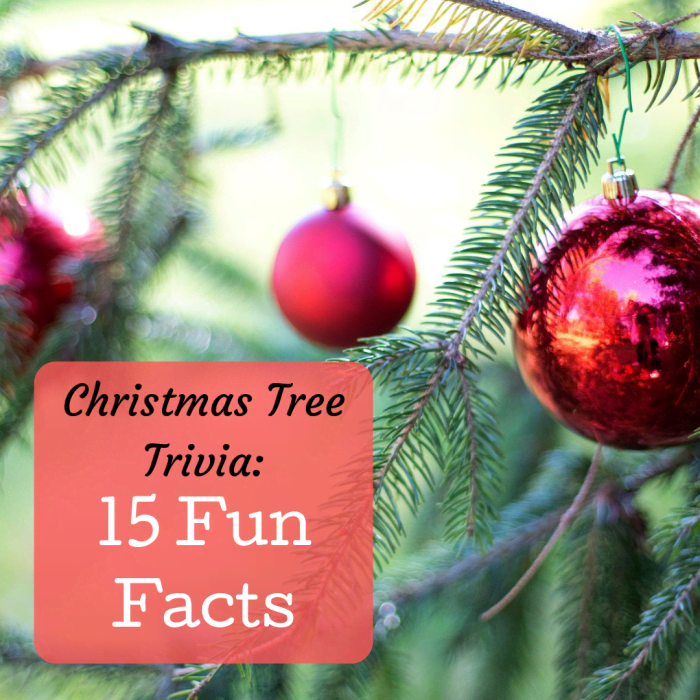 Find out how much you really know about the tradition of the Christmas tree with these 15 trivia facts!