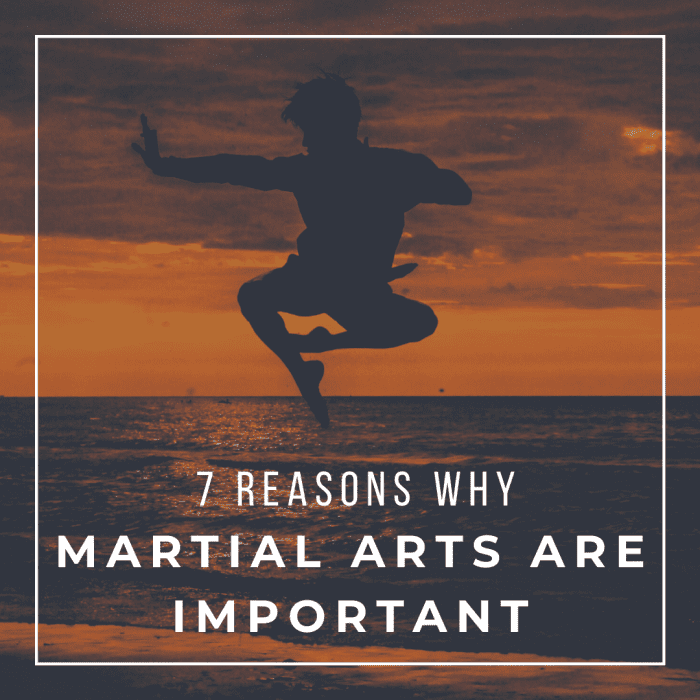 why-are-martial-arts-important-howtheyplay