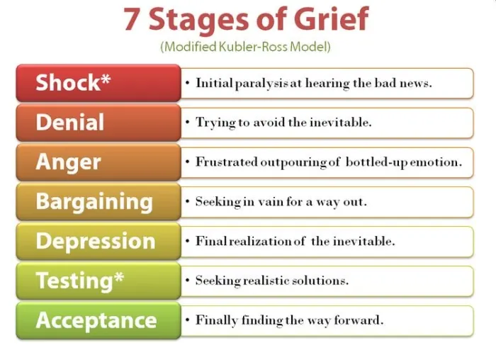 the-five-stages-of-grief-in-lament-for-a-son.webp