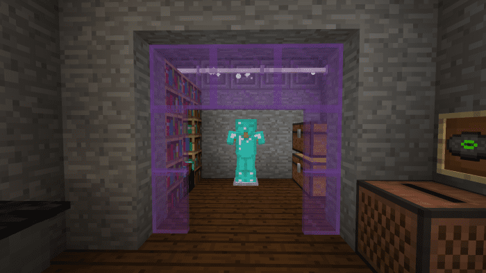 This open closet has an armor stand, bookshelf, and two storage chests.