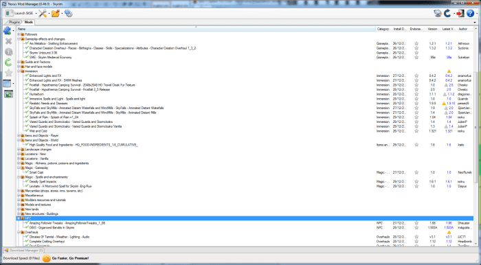 Nexus Mod Manager is a simple to use and very user friendly tool for managing your Skyrim mods.