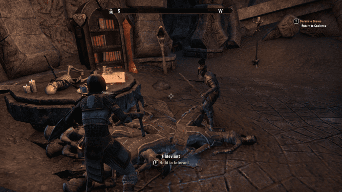 A sizeable heap of unique enemies, the casualties of player farming in the Iliath Temple Caves in “The Elder Scrolls Online”.