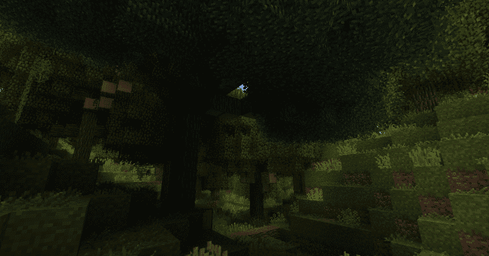 The darker atmosphere caused by the new trees makes forest a lot more interesting to explore. But be warned, it also means monster are much more likely to appear at any time of day.