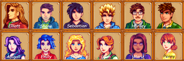 When Can You Marry Someone In Stardew Valley