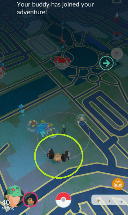 Your Buddy will now be on the map. They'll finally hang out with you on more than just your profile!