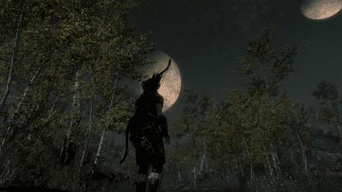 Don't miss out on the breathtaking sites that Skyrim has to offer. A walk in the woods can turn a routine quest into a memorable journey.