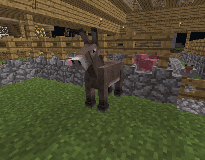 You need to breed a donkey with a normal horse to get a mule.