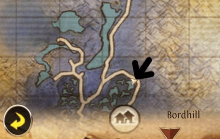 Bordhill Mount Spawn Location in Swamp of Wyrms