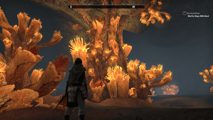 The Coral Heart, a massive, living organism that's central to the quest of the same name in The Elder Scrolls Online.
