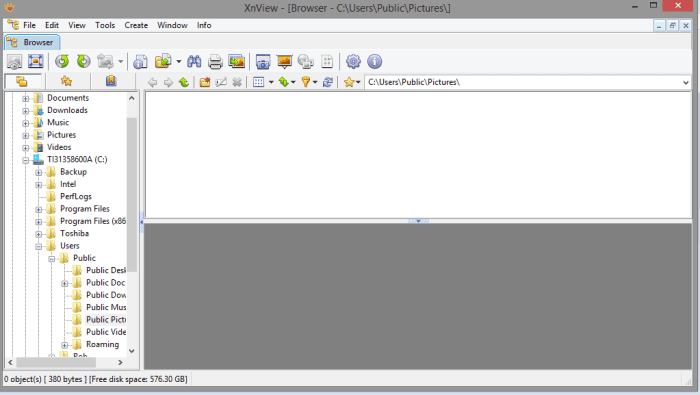 The main XnView interface.