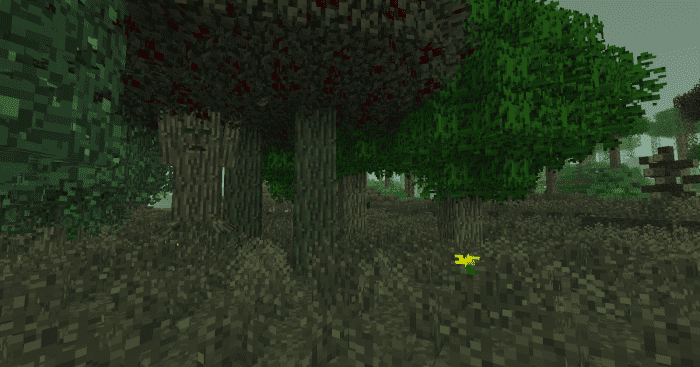 Witchery likes to sneak in a lot of little surprises, so keep a weapon handy at all times.