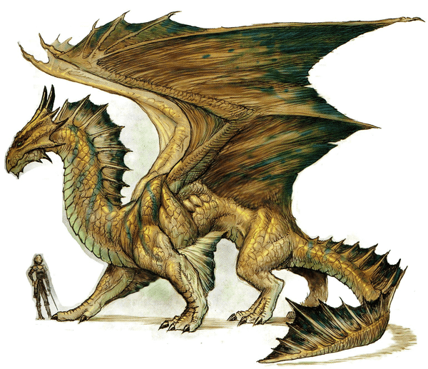 In Dungeons and Dragons, adventurers are led on a quest by the Dungeon Master where they will solve puzzles, interact with other non-player characters, and defeat a variety of monsters.
