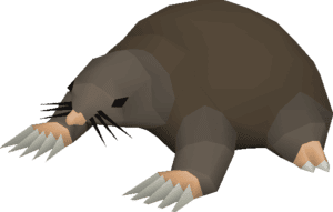The Giant Mole: Found under the Falador Park.