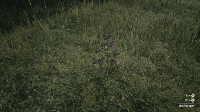 This is Burdock Root which also grows around the water's edge (just not as often as Common Bulrush). Collect this as well to craft Potent Bitters with Hummingbird Sage. Also make sure to have a full stock of this in your Inventory for later.