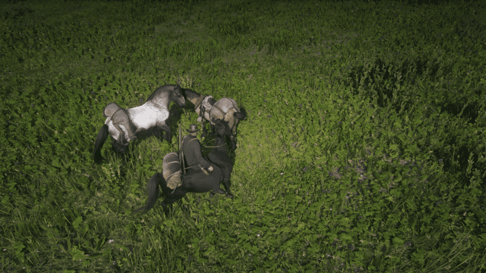 If you're REALLY into hunting consider breaking (or stealing) a couple extra horses. Just remember that a saddle is required for small animals, and carcasses will rot over time. Bond Level 1 is also a good idea.
