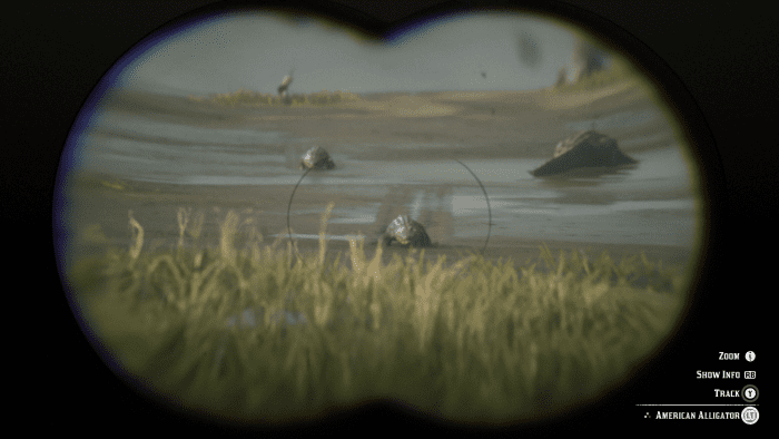 Put down Predator Bait in the muddy areas of Leymone's swamps and you'll see this. It takes a while for the Alligators to creep near you, but you can shoot them from afar and it will still count.