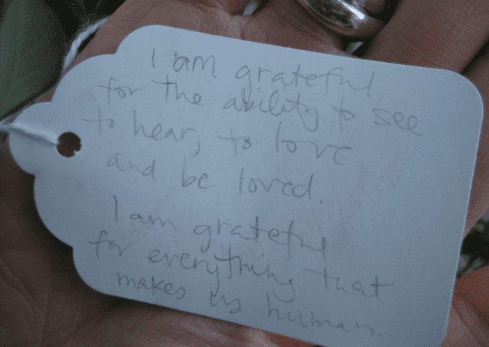 Keeping a gratitude journal is a fantastic way to develop a deep appreciation for everything in life—both big and small.