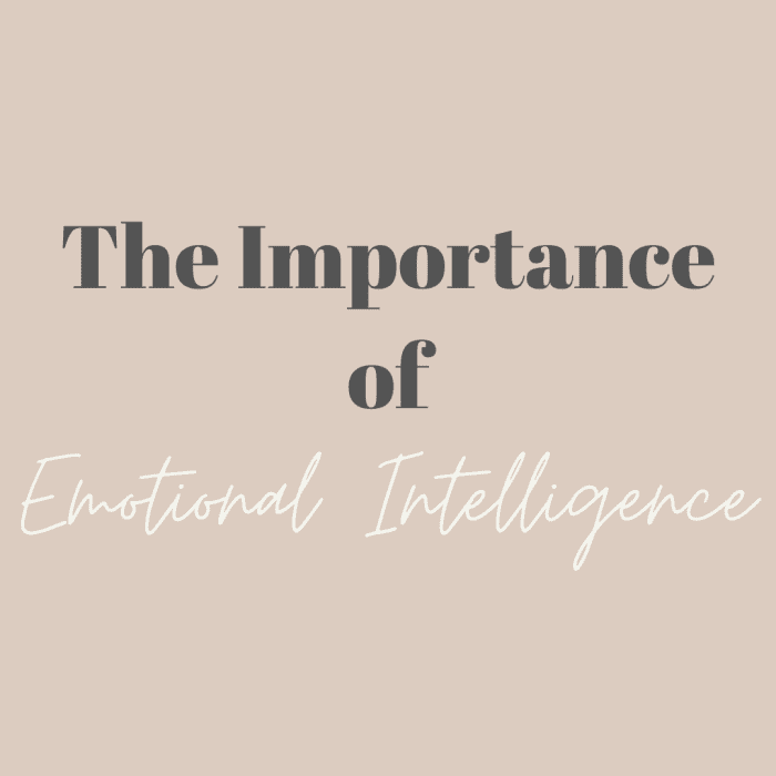 Leading Teams: The Importance of Emotional Intelligence - HubPages