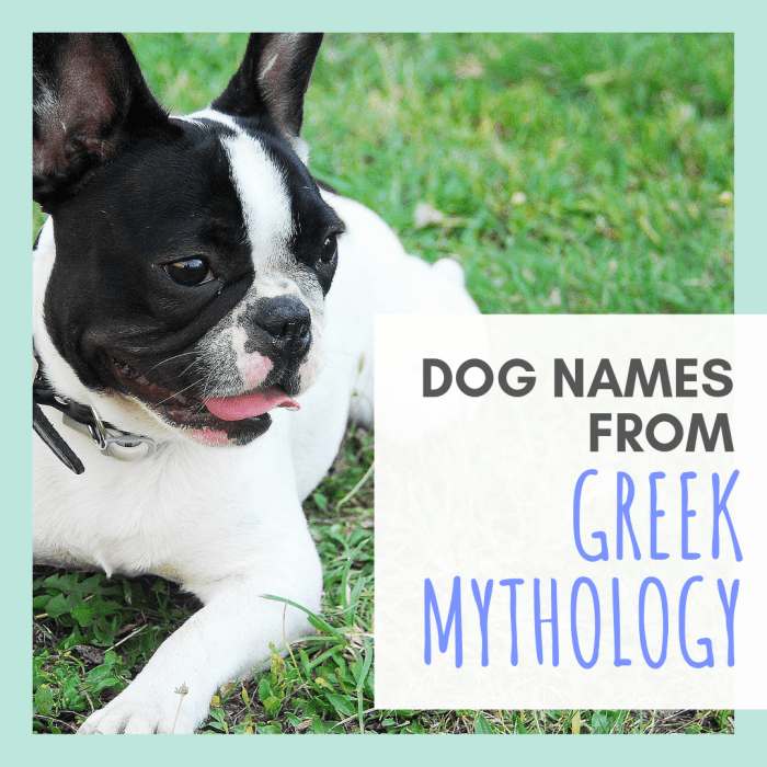 Имена собак из греческой мифологии