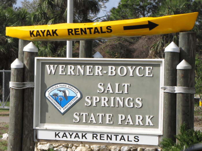 Florida Kayaking: Werner-Boyce Salt Springs State Park - WanderWisdom