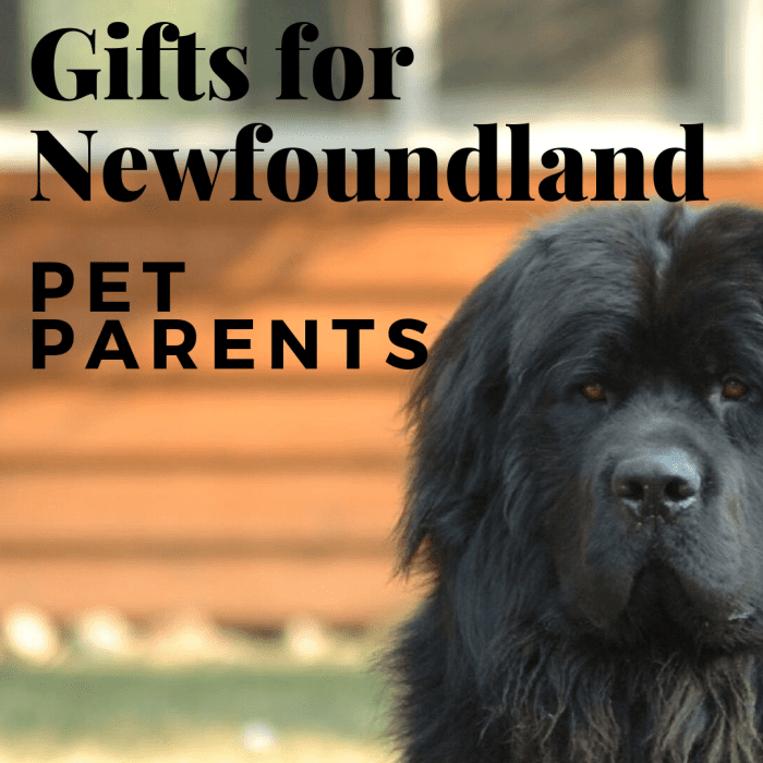 12 Terrific Gifts for Newfoundland Dog Lovers Holidappy