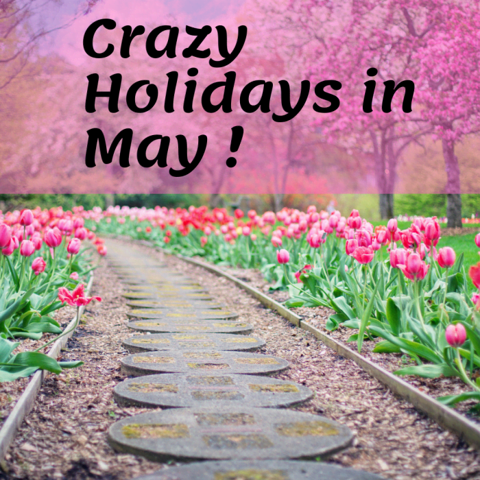 10 Fun and Crazy Holidays in May You'll Want to Celebrate Holidappy