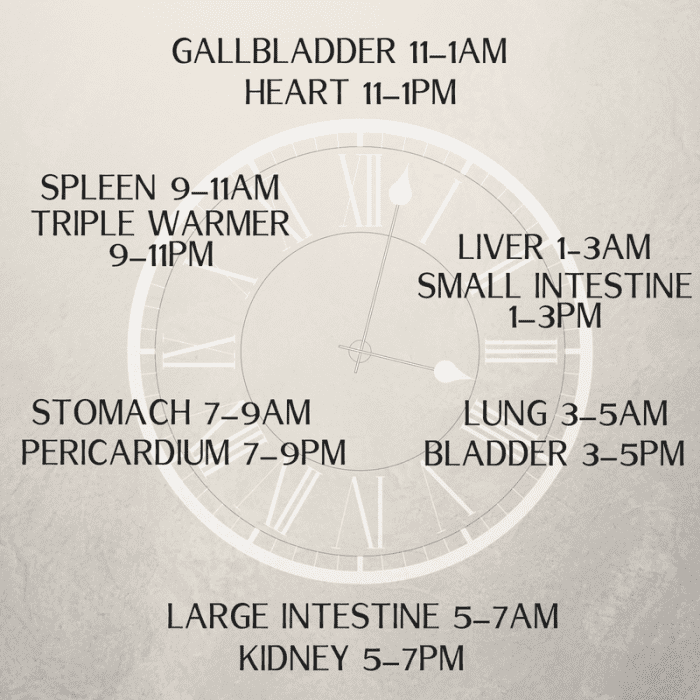 The meridian clock