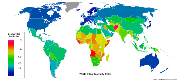 World infant mortality rates map showing deaths per 1000 live births. Data sourced from the Population Reference Bureau, 2009.