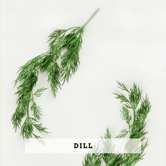 7 Safest Essential Oils for Toddlers and Children RemedyGrove