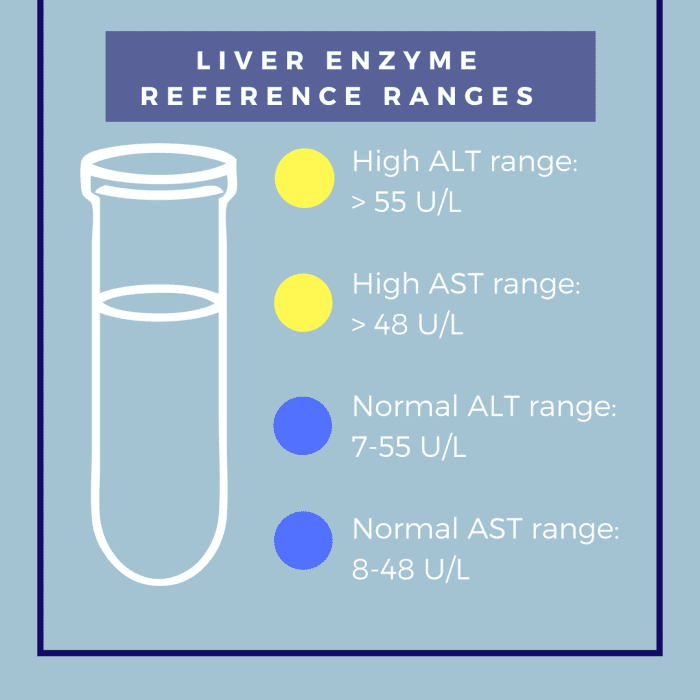 Fast Ways to Lower Elevated Liver Enzymes Naturally RemedyGrove