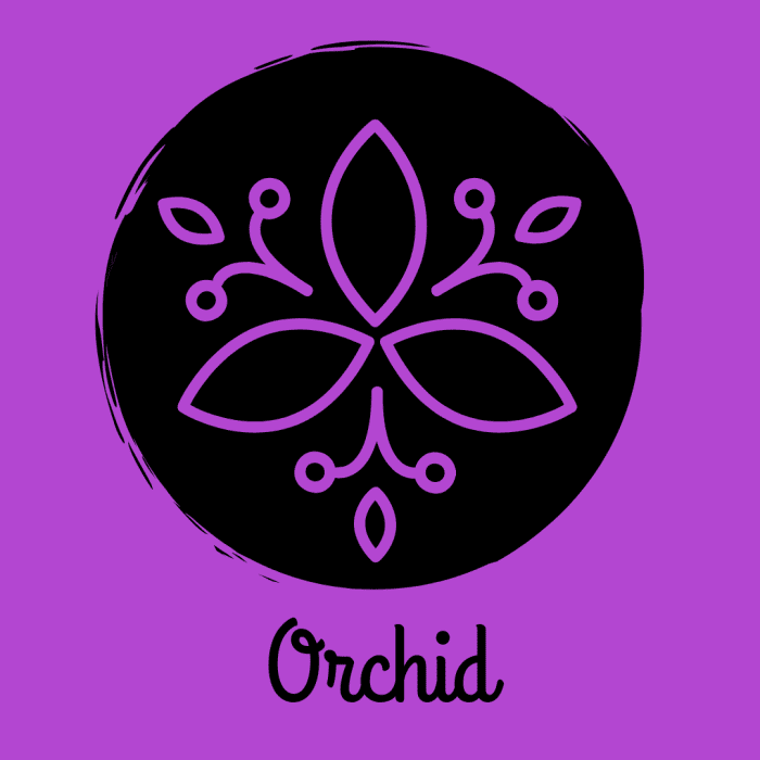 300+ Super Cool Superhero Names HobbyLark