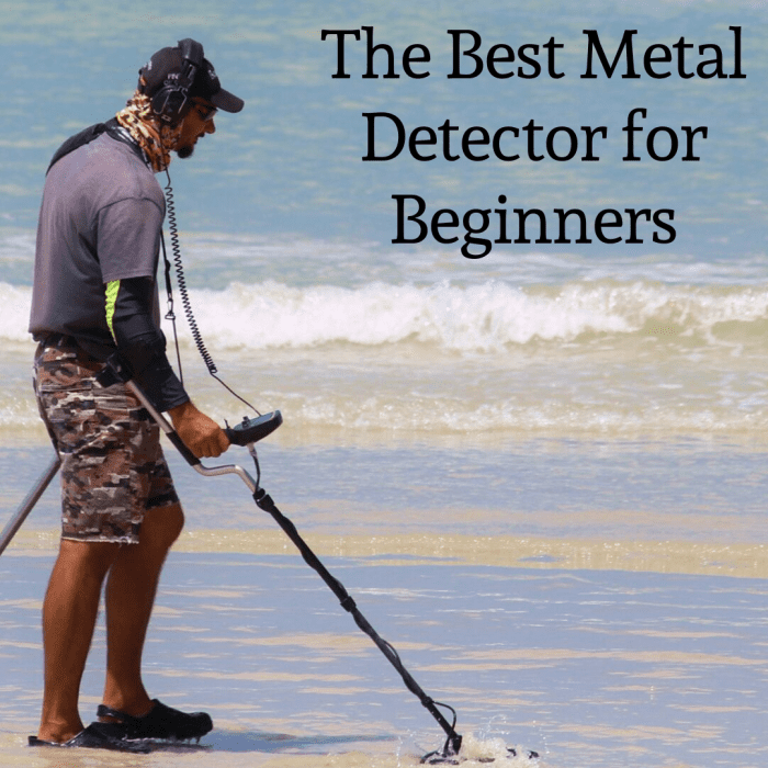 The Best Starter Metal Detectors for Beginners HobbyLark