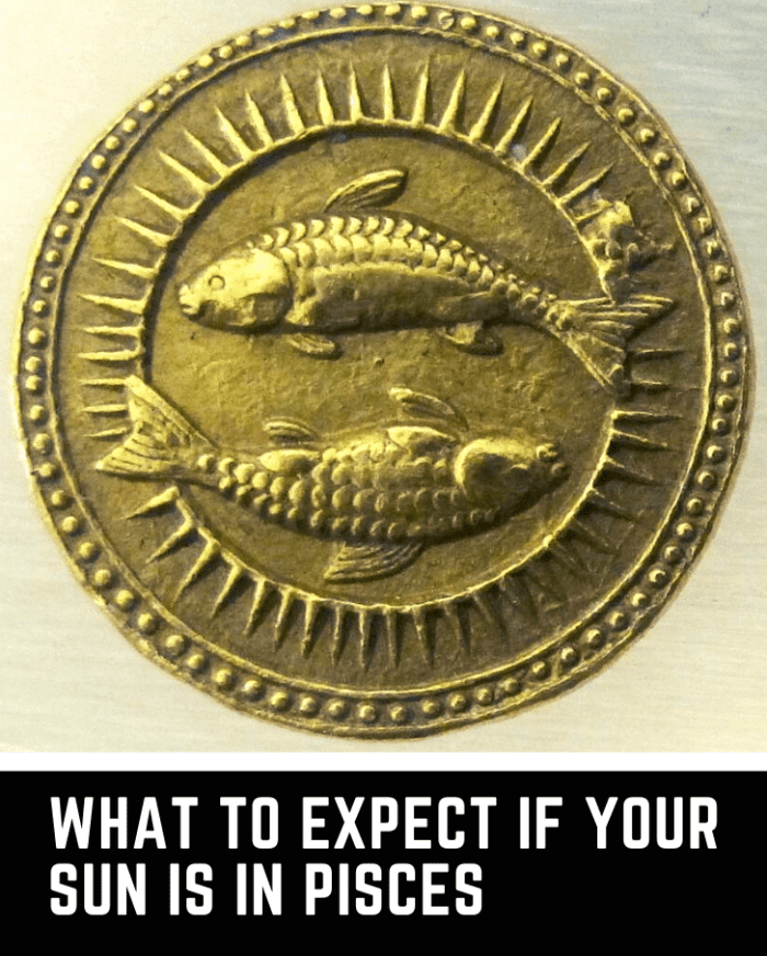 What to Expect If You Are Sun in Pisces Exemplore