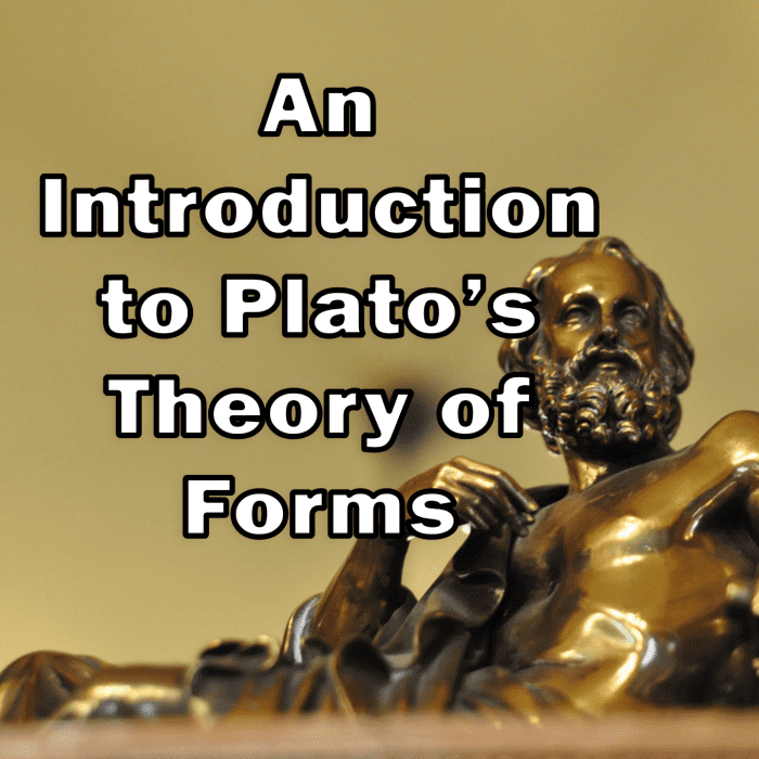 essay on plato's theory of forms