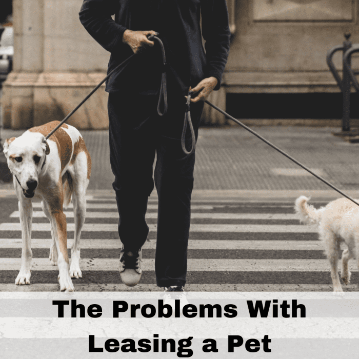Be wary about pet leasing, you have to be careful about who you want to trust as a leaser or a lessee.