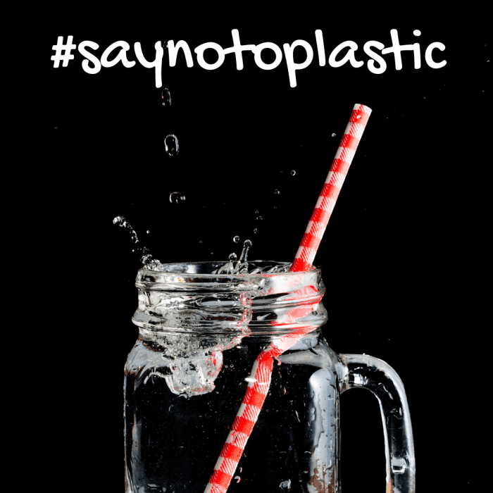 plastic-straw-bans-and-more-tips-for-sustainable-living-remedygrove