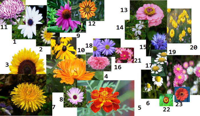 Besides for feverfew, there are many flowers and herbs that contain healing properties.