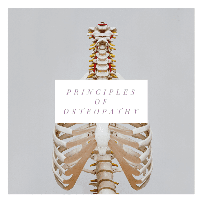 The Principles Of Osteopathy Remedygrove 5352