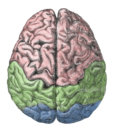 Psychiatry knows little about the brain
