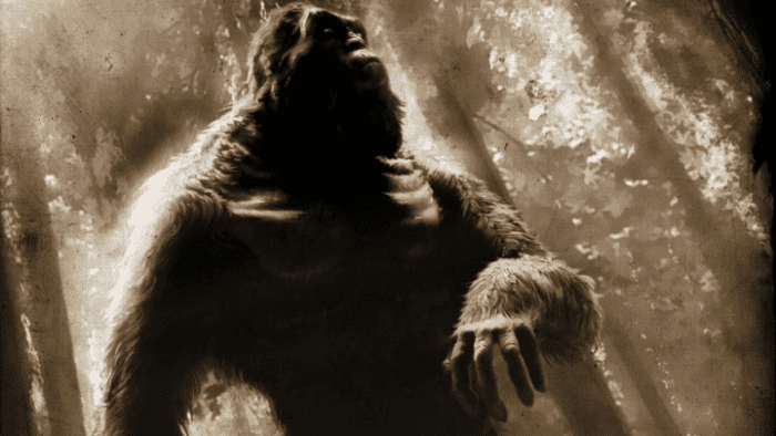 What is a rock ape?