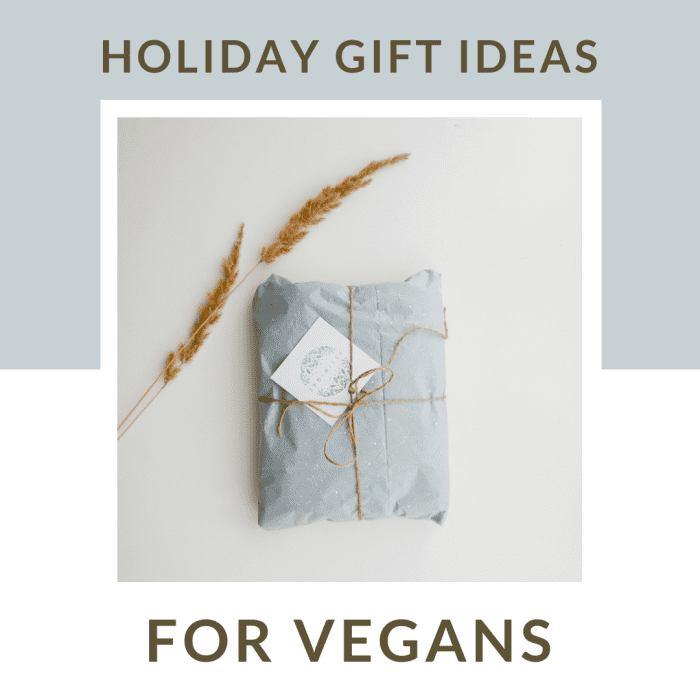 10 Best Gift Ideas for Vegans Holidappy