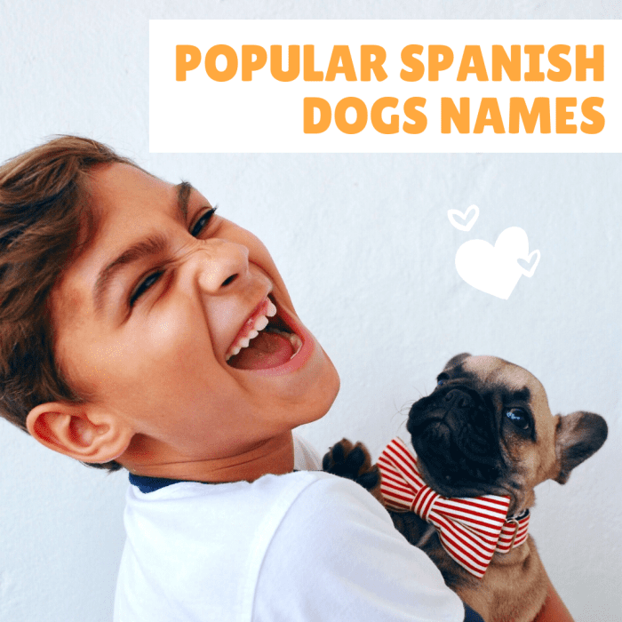 Самые популярные испанские имена собак.