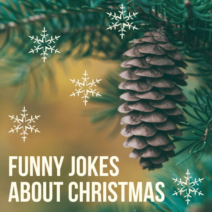 The Funniest Christmas Jokes - Holidappy