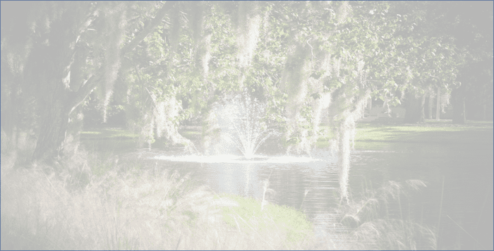 This is a photo of a fountain on the grounds of the Ringling Museum in Sarasota, Florida. The transparency of the photo was changed so it could be used as a background.