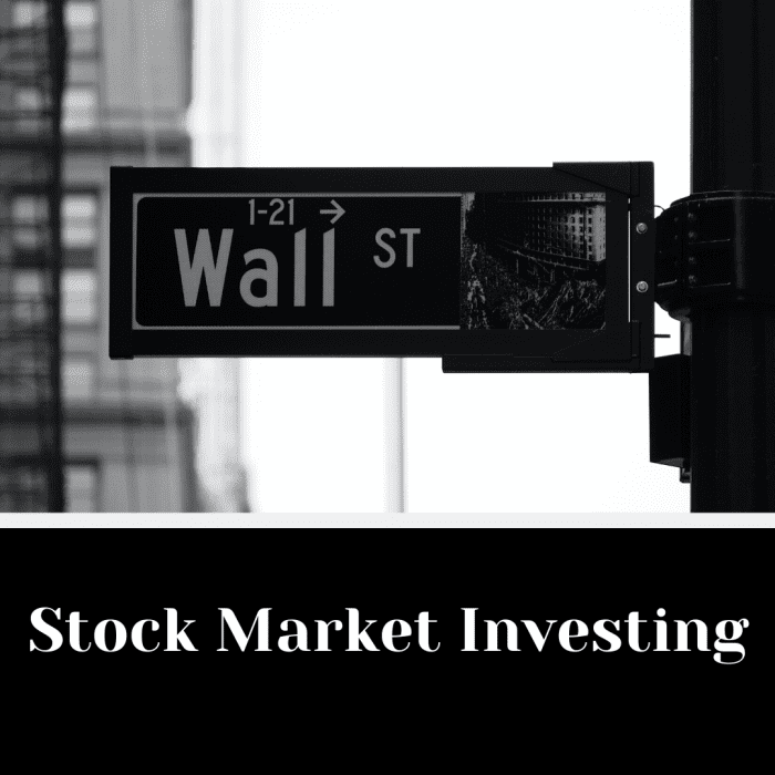 Stock Market Investing Index Funds 101 Hubpages