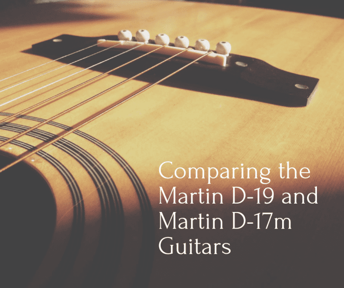 The Martin D-19 and the Martin D-17m are both excellent guitars. Read on to learn which might be best for you!