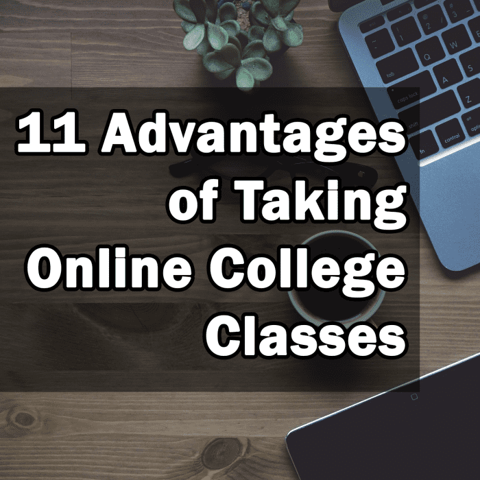 11 Advantages of Taking Online College Classes HubPages