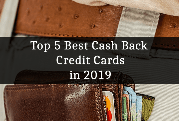 Top 5 Best Cash Back Credit Cards In 2019 - ToughNickel