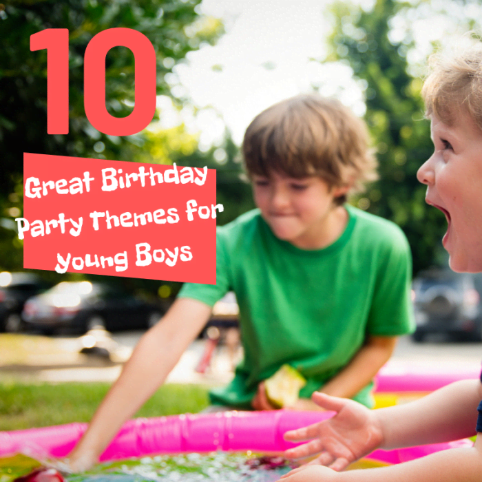 10 Great Birthday Party Themes for Young Boys - Holidappy